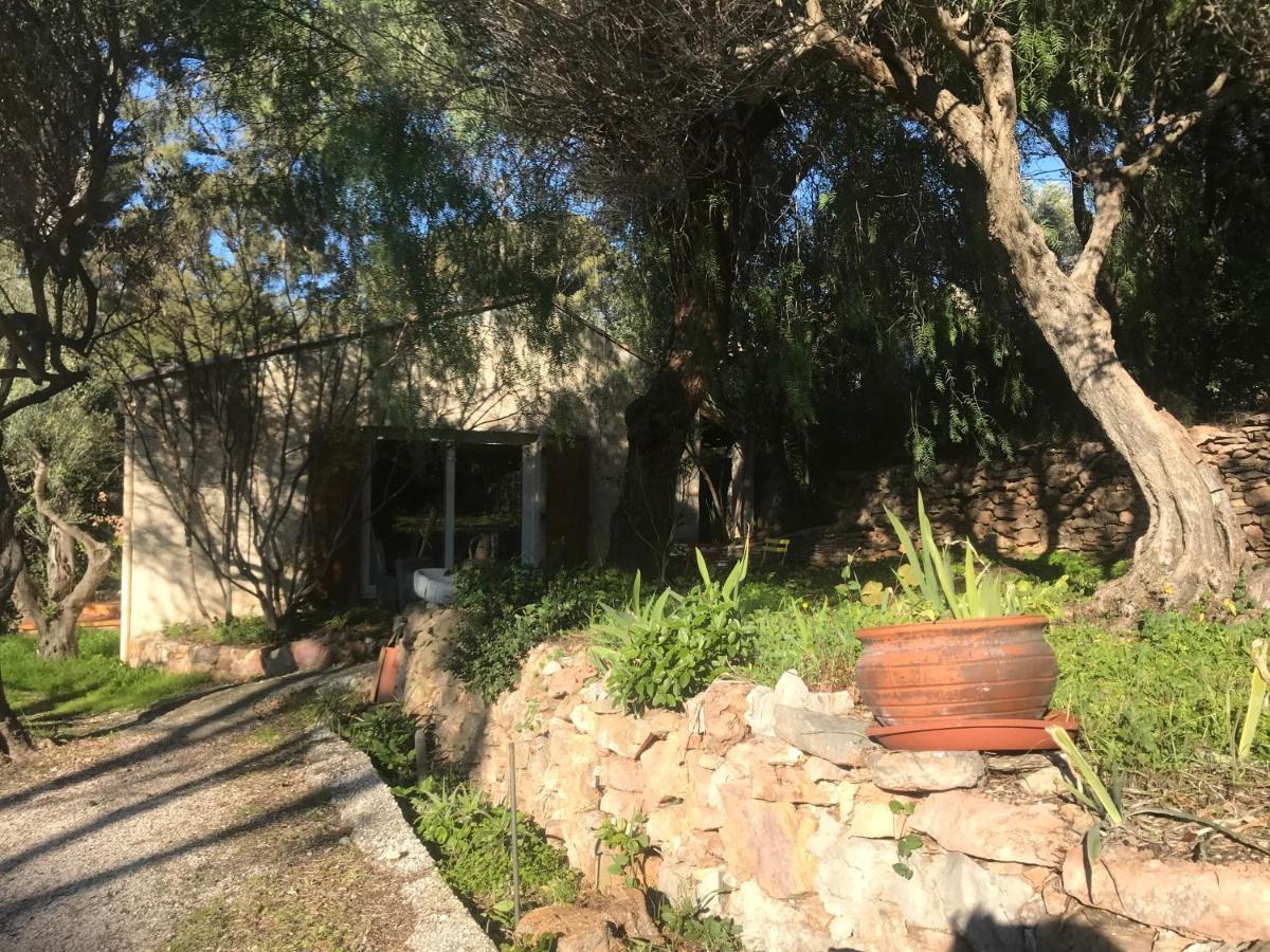 Le Paradis Des Oiseaux Holiday home Toulon